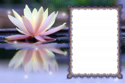Lotus Transparent PNG Photo Frame | Gallery Yopriceville - High ...