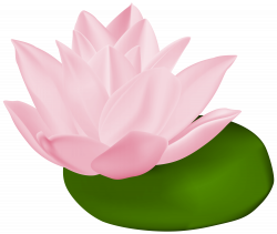 Pink Water Lily Transparent PNG Clip Art Image | Gallery ...