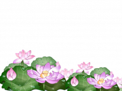 Picture frame Clip art - Hand-painted lotus 1024*768 transprent Png ...