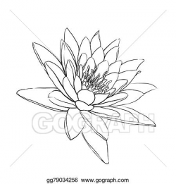 Vector Stock - Lotus flower. Clipart Illustration gg79034256 ...