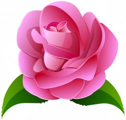 Pink Rose Deco Transparent Clip Art Image | Flori mici | Pinterest ...