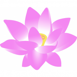 Flor de lotus clipart