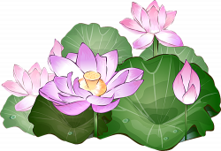 28+ Collection of Lotus Clipart | High quality, free cliparts ...