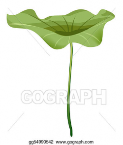 Drawing - Lotus leaf. Clipart Drawing gg54990542 - GoGraph