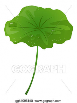 Drawing - Lotus leaf. Clipart Drawing gg54096150 - GoGraph