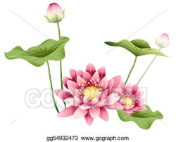 Drawing - Lotus flower and leaves. Clipart Drawing ...