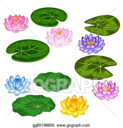 Vector Art - Natural set of stylized lotus flowers and ...