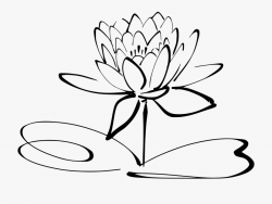 Lotus Flower Png - Lotus Flower Line Art #257504 - Free ...
