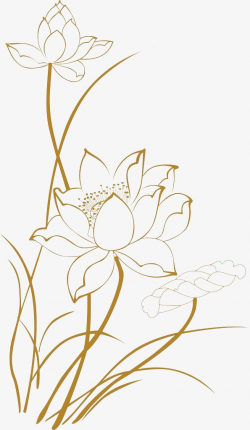 Lotus Line Drawings, Lotus Clipart, Line Clipart, Lotus PNG ...
