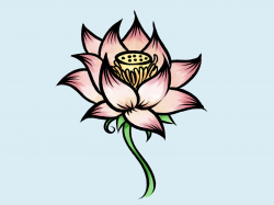 Draw a Lotus Flower | water feature | Drawings, Lotus, Art ...