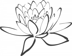 Free Lotus Outline, Download Free Clip Art, Free Clip Art on ...