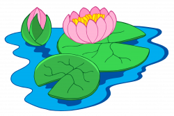 Nymphaea alba Clip art - Lotus in lotus pond 2281*1532 transprent ...