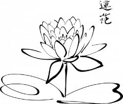 Lotus Drawing Images at GetDrawings.com | Free for personal use ...