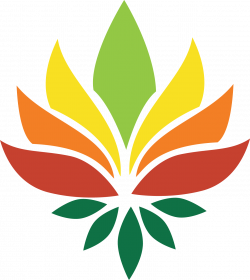 Nelumbo nucifera National symbols of India Pattern - lotus leaves ...
