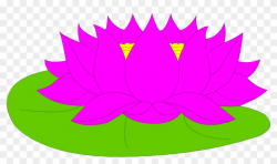 Lotus, The National Flower Of India, Stands For Purity ...