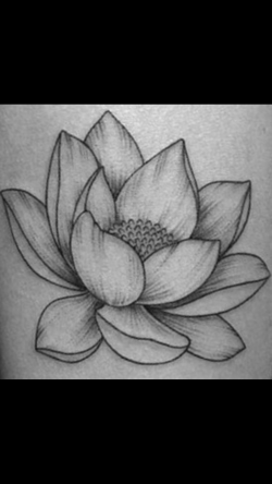 Lotus flower drawing | Beautiful in 2019 | Realistic flower ...