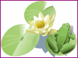 Shocking Frog And Lily Pad Png Clip Art Everyday For Cards Pic Of ...