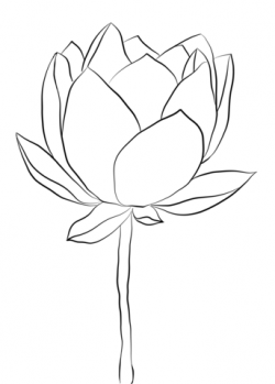 Lotus Flower coloring page | Free Printable Coloring Pages