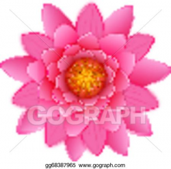 Vector Illustration - Beautiful pink lotus or waterlily ...