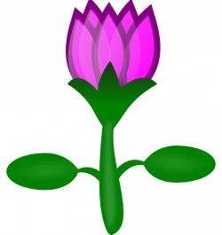 Lotus Clip Art at Clker.com - vector clip art online, royalty free ...