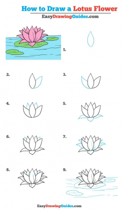 How to Draw a Lotus Flower - Really Easy Drawing Tutorial ...