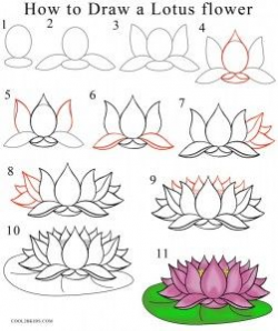 How to Draw Lotus Flower Step by Step … | Drawing in 2019 ...