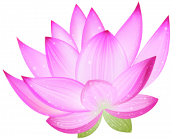 Free Lotus Clipart Black And White Images Download【2018】