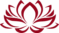 Vermillion Lotus Flower No Background Icons PNG - Free PNG and Icons ...