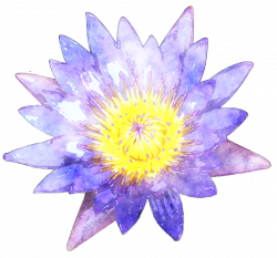 watercolor lotus1 by Lavandalu on DeviantArt