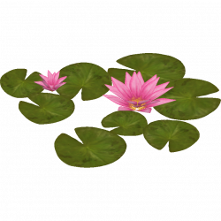Image - Water Lily (Zeta-Designs)2.png | ZT2 Download Library Wiki ...