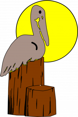 Clipart - louisiana state bird