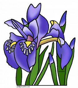 Iris Flower Clipart | Clipart Panda - Free Clipart Images