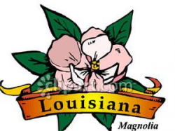State Flower of Louisiana, the Magnolia Royalty Free Clipart ...