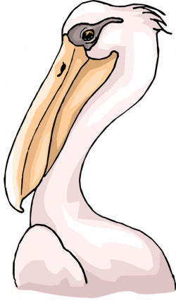 Free Pelican Clipart