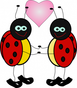 LADYBUGS, HEART, LOVE, BUGS, CUTE, INSECT, VALENTINE - Public Domain ...