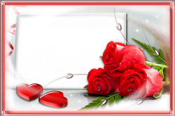Red Rose frames png images free download