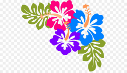 Cuisine of Hawaii Luau Clip art - Hawaiian Luau Clipart png download ...