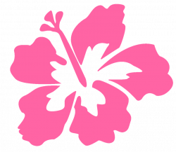 HOLA ME PUDEN AYUDAR??? | flores hawaiana | Pinterest