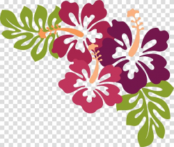 Hawaii Luau , hibiscus transparent background PNG clipart ...