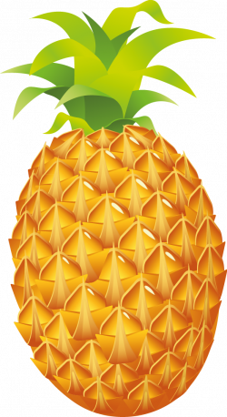 Pineapple Luau Fruit Clip art - Pineapple Cliparts png ...