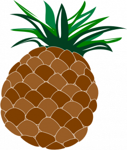 Luau pineapple clip art related keywords - Clip Art Library