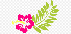 Cuisine of Hawaii Luau Clip art - Beach Flower Cliparts - Nohat