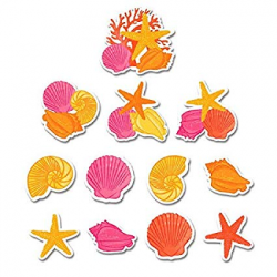 Amazon.com: Hawaiian Summer Luau Party Assorted Sea Shells ...