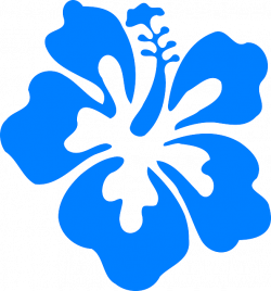 flores hawaianas png - Pesquisa Google … | flores h…