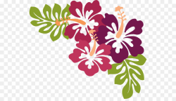Family Tree Design clipart - Luau, Flower, Hibiscus ...