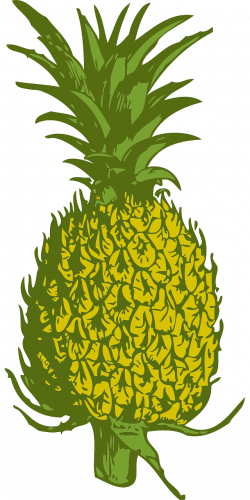 Pineapple Luau Cuisine of Hawaii Clip art - pineapple 640*1280 ...