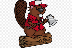 Beaver T-shirt Lumberjack Clip art - Beaver PNG png download - 539 ...