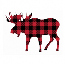 Buffalo Plaid Moose, Lumberjack Style, Red Black Postcard