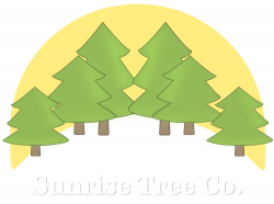 Sunrise Tree Co.
