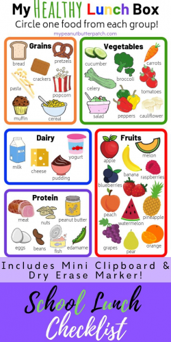 My Healthy Lunch Box Checklist | Healthy Eating for Kids in ...